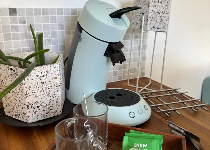 Daire Cosy Idealement Situe Angers